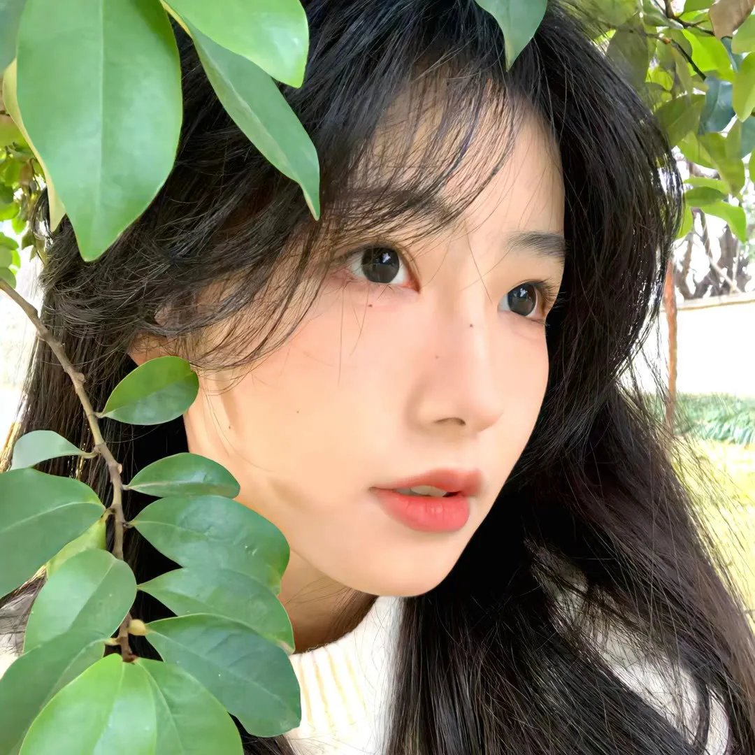 2024爱奇艺尖叫之夜